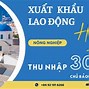 Công Ty Xklđ Vinacom 360 Lừa Đảo Không Qua Mạng Internet