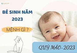 Em Bé Sinh Năm 2023 Hợp Màu Gì