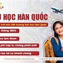 Nữ Đi Xklđ Hàn Quốc 2023 Cần Những Gì Pdf Download